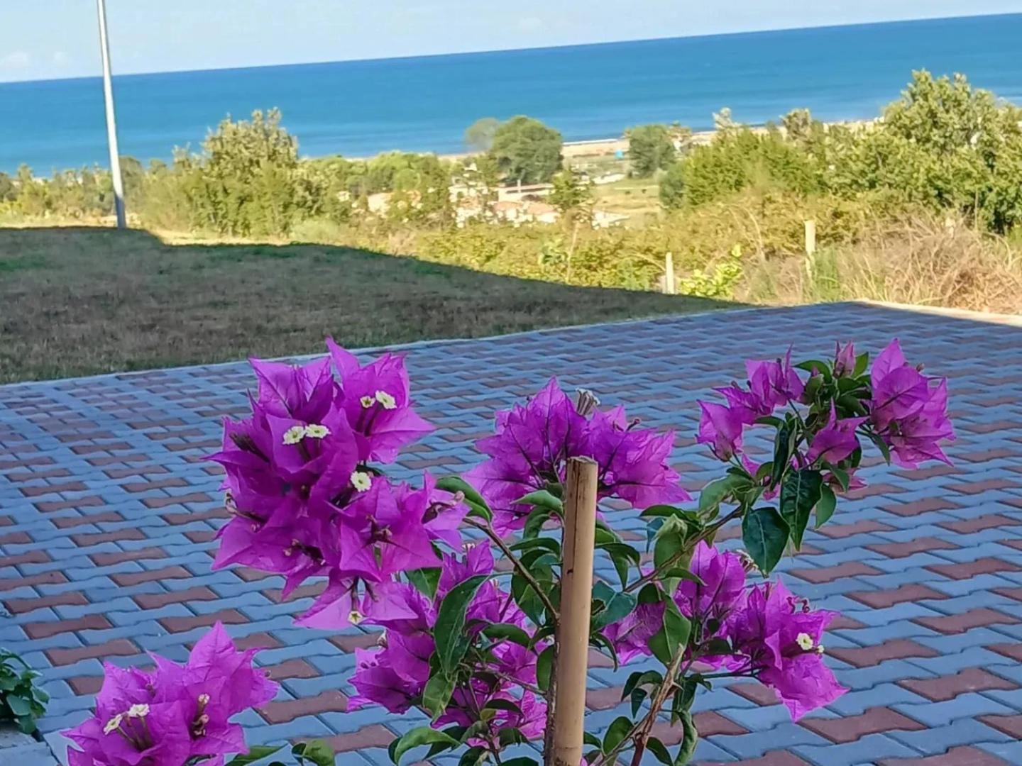 Sol Apartments Gjiri Lalzit Durres Exterior photo
